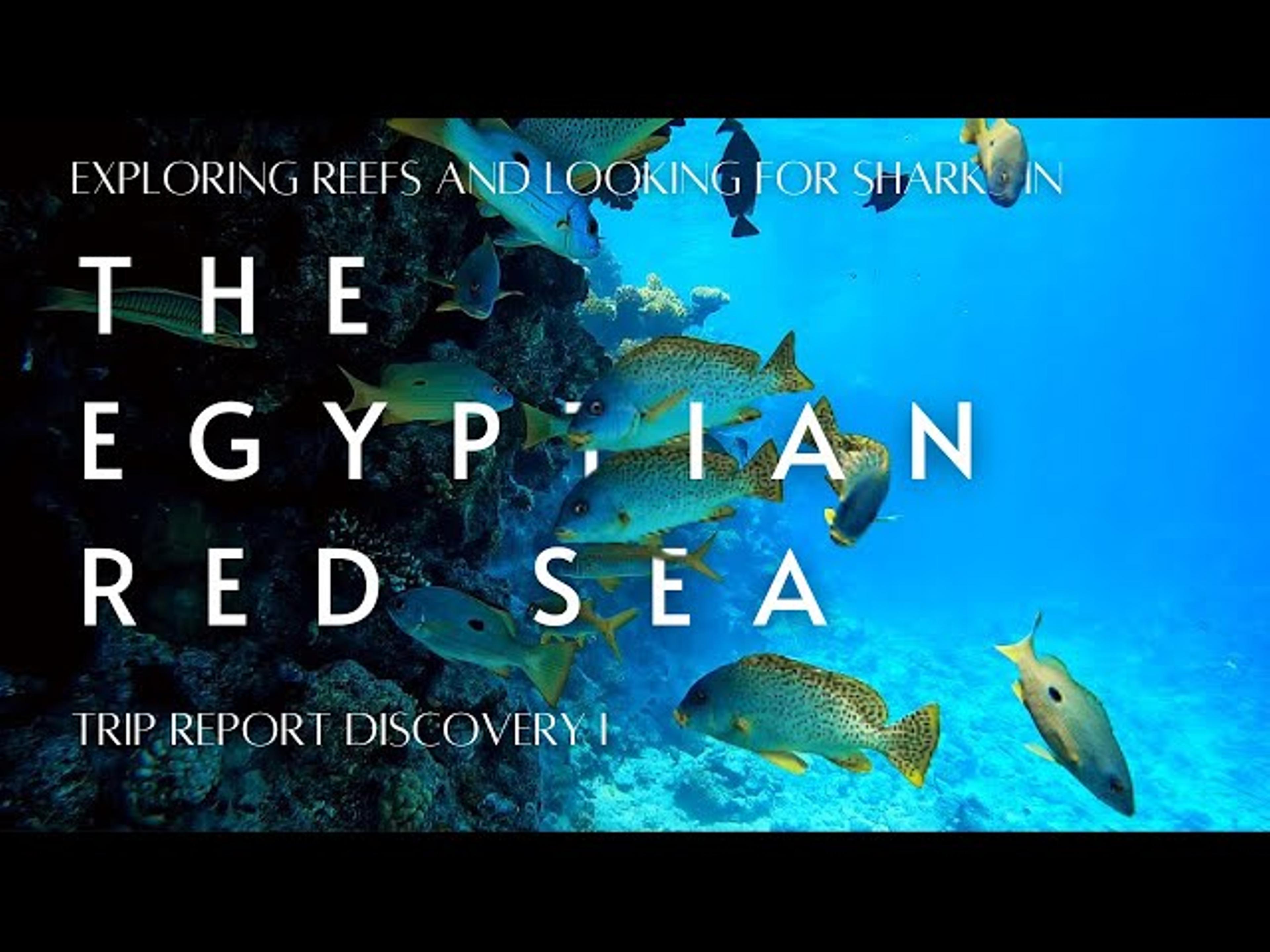 YouTube video for Diving the Red Sea with Discovery I: A Memorable Liveaboard Experience