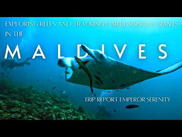 A Week Aboard Emperor Serenity: Diving the Central Atolls of the Maldives